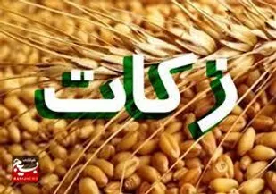 ۹۷ درصد زکات پرداختی در اردبیل صرف امور فقرا می شود