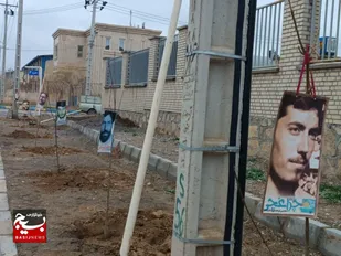 کاشت نهال در شهرک ها و نواحی صنعتی استان خراسان رضوی به یاد شهدا