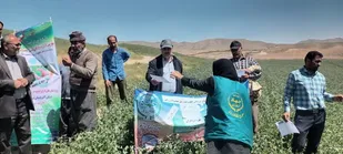 برگزاری آموزش های ترویجی برای 400 نفر روز در مراغه