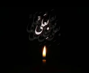 علی(ع) دیپلماسی را خوب می&zwnj;دانست اما مرد میدان بود