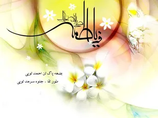 حضرت زهرا(س) بهترین و کامل ترین الگو برای بانوان