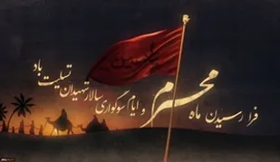 آغاز طرح نظارتی تعزیرات حکومتی استان قزوین در ماه محرم