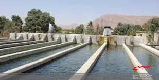 چهار مجتمع پرورش ماهی در لرستان ایجاد می&zwnj;شود