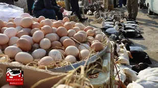 بازار روز شفت؛ تلاقی سنت و زندگی مدرن