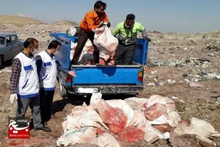 کشف و معدوم سازی ۱۹ تن انواع مواد خام دامی در نهاوند