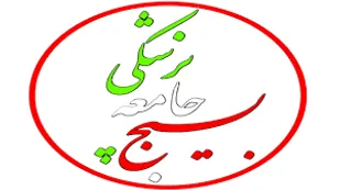 بسیج جامعه پزشکی آذربایجان&zwnj;شرقی خدمات رایگان در مناطق مرزی ارائه کرد