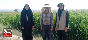اعزام گروه&zwnj;های جهادی بسیج مهندسین کشاورزی شاهرود به مزارع+ تصاویر