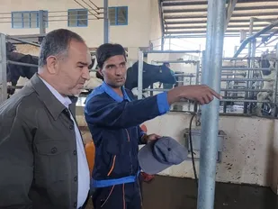 بازدید فرماندار شهرستان ری از گاوداری نوین این شهرستان