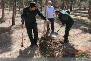 غرس نهال توسط پایوران سپاه ناحیه دامغان در پارک جنگلی شهرستان
