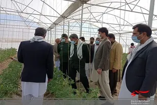 افتتاح یک واحد گلخانه با اعتباری بالغ بر 27 میلیارد ریال در سیب و سوران