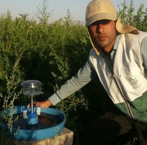 دفع بلای جان باغات انگور به دست متخصصان بسیجی