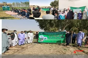 ۴ کانون جوانان روستایی و عشایری در مراکز جهاد کشاورزی سیستان و بلوچستان راه اندازی شد