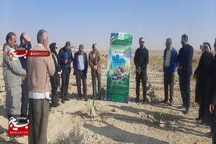 هشتمین کاروان ترویجی بهره&zwnj;وری الگوی کشت در سرخه برپا شد