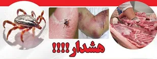 بستری چهار گیلانی در پی ابتلا به تب کریمه کنگو