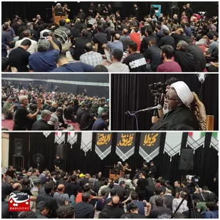 حضور و سخنرانی &laquo;رهبر شیعیان نیجریه&raquo; در بین عزاداران موکب فاطمه&zwnj;الزهرا&laquo;س&raquo; بابل در کربلا