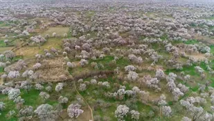 باغستان و احیای حیات(۱)