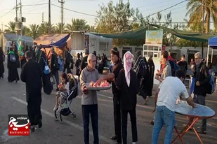 خدمت&zwnj;رسانی خادمین موکب آیت الله بهاری در کربلا