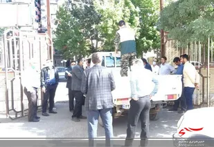 آغاز توزیع خانه به خانه داروی گیاهی پیشگیری از کرونا در هریس