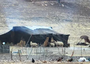 مستقر شدن هزار خانوار عشایر کوچرو در مناطق قشلاقی دهلران