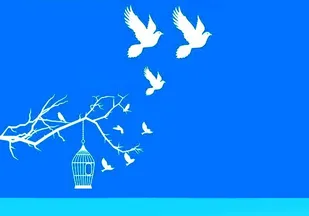 آزادی ۶ زندانی جرائم غیرعمد استان مرکزی