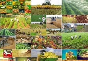 اجرای سرشماری کشاورزی در ۱۸۵۵ روستا و آبادی &zwnj;استان اردبیل