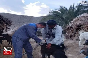 برگزاری اردوی جهادی در منطقه عشایری و صعب العبور گواجوئیگ