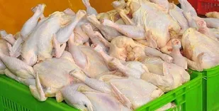 کاهش قیمت مرغ و تخم مرغ در بازار چهارمحال و بختیاری