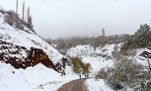 بارش نخستین برف پاییزی در محور الموت استان قزوین آغاز شد