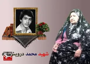 &nbsp; فعالیت های انقلابی محمد، من را آماده شنیدن خبر شهادتش کرده بود