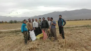 جمع آوری محصولات کشاورزی و کمک به نیازمندان+ تصاویر