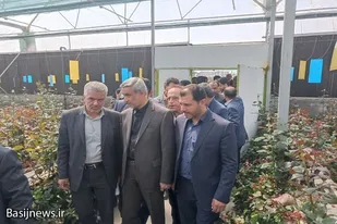 وجود ۲۲۰ هکتار گلخانه در استان همدان