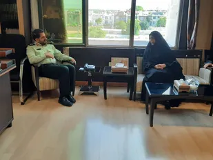 ۳۳۰هزار تن گندم در اراضی کشاورزی استان قزوین تولید می شود