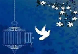 آزادی ۵۵ زندانی جرائم غیرعمد در آذربایجان شرقی