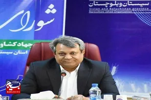 صدرنشینی سیستان و بلوچستان در پروژه&zwnj;های کشاورزی دهه فجر کشور