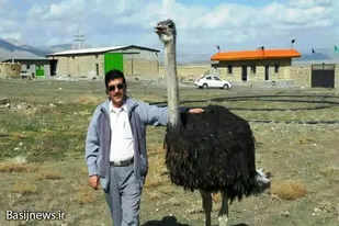 یکی از مشکلات ما در استان همدان نبود کشتارگاه تخصصی است