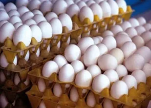 افزایش قیمت تخم مرغ در ایلام تخلف است/برخورد با متخلفان