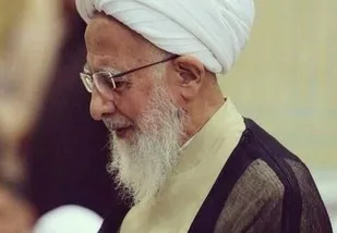 پاسخ به برخی انتقادات نسبت به زیارتنامه امام (س)