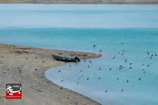بارش&zwnj;های امسال تاثیری در مشکل تشنگی &laquo;کمال صالح&raquo; و &laquo;الغدیر&raquo; نداشت