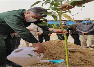 آیین درخت کاری برای ایران سرسبز، در پایانه مرزی حاج قاسم سلیمانی در مرز مهران برگزار شد