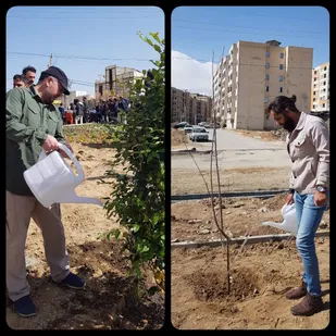 هنرمندان بروجرد در شهرک مهرگان درخت غرس کردند.