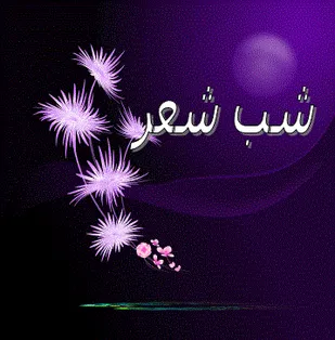 شاعران خلیل آبادی در شب شعر &ldquo;محراب سرخ&rdquo; حضور سبزی داشتند