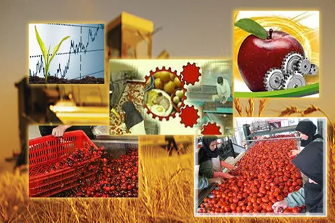 درمان خام فروشی کشاورزی
