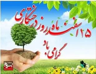 اجرای طرح مردمی کاشت یک میلیارد درخت در تنگستان