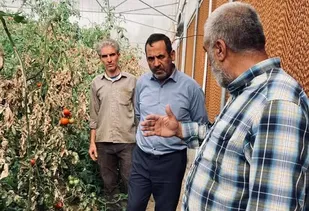 ضرورت توسعه کشت گلخانه&zwnj;ای در حریم دریاچه ارومیه