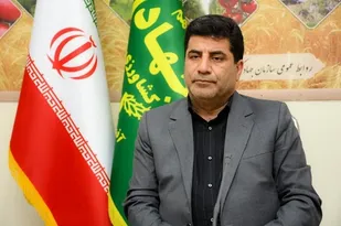 میزان خرید گندم در آذربایجان شرقی از مرز 235 هزار تن گذشت