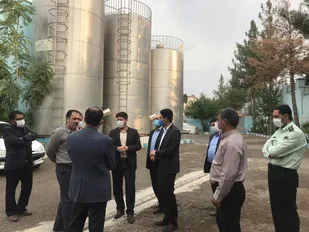 پیگیری میدانی مشکلات واحد های صنعتی در استان ایلام