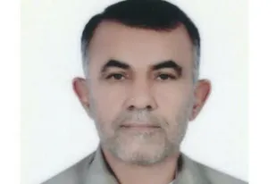 گربه&zwnj;ی آرام