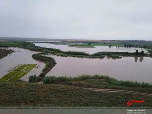 پرداخت بیش از ۱۰۲ میلیارد تومان کمک بلاعوض به کشاورزان سیل&zwnj;زده