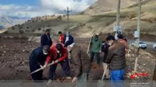 ۱۰۰ اصله نهال درخت در پاوه کاشت شد