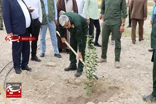 کاشت هزار و ۵۰۰ اصله نهال به یاد شهدای هرمزگان